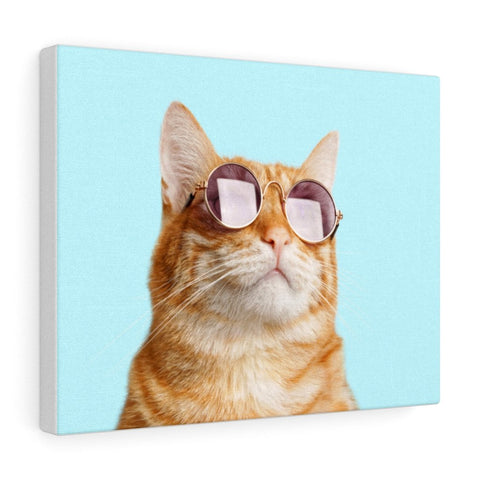 Cat is Alway's Right Canvas Gallery Wraps Wall Art