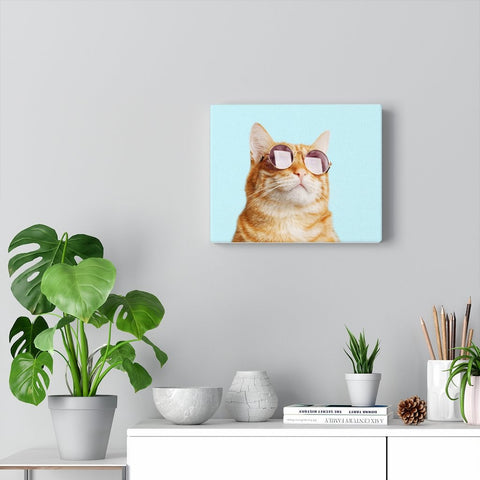 Cat is Alway's Right Canvas Gallery Wraps Wall Art