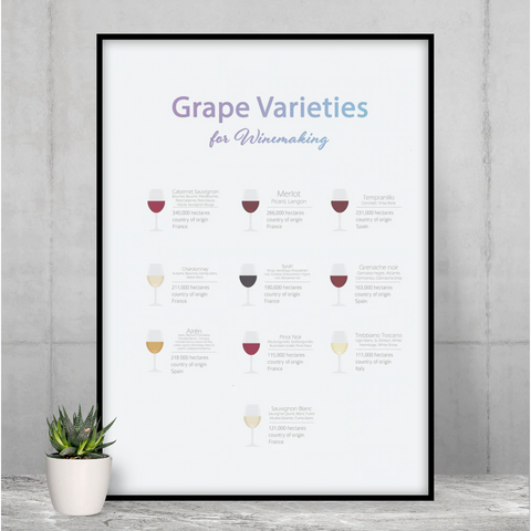 Grape Varieties for Winemaking Poster Room Decor