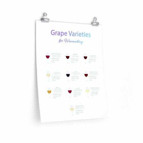 Grape Varieties for Winemaking Poster Room Decor