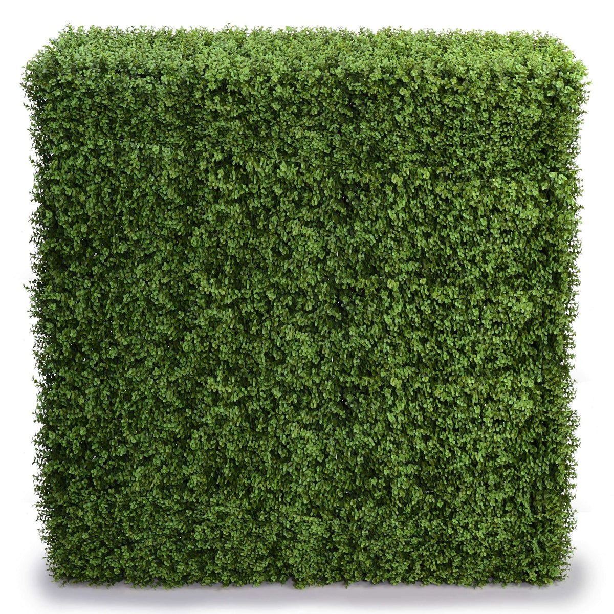 Indoor / Outdoor UV Portable Pittosporum Artificial Hedge - 1.5m High