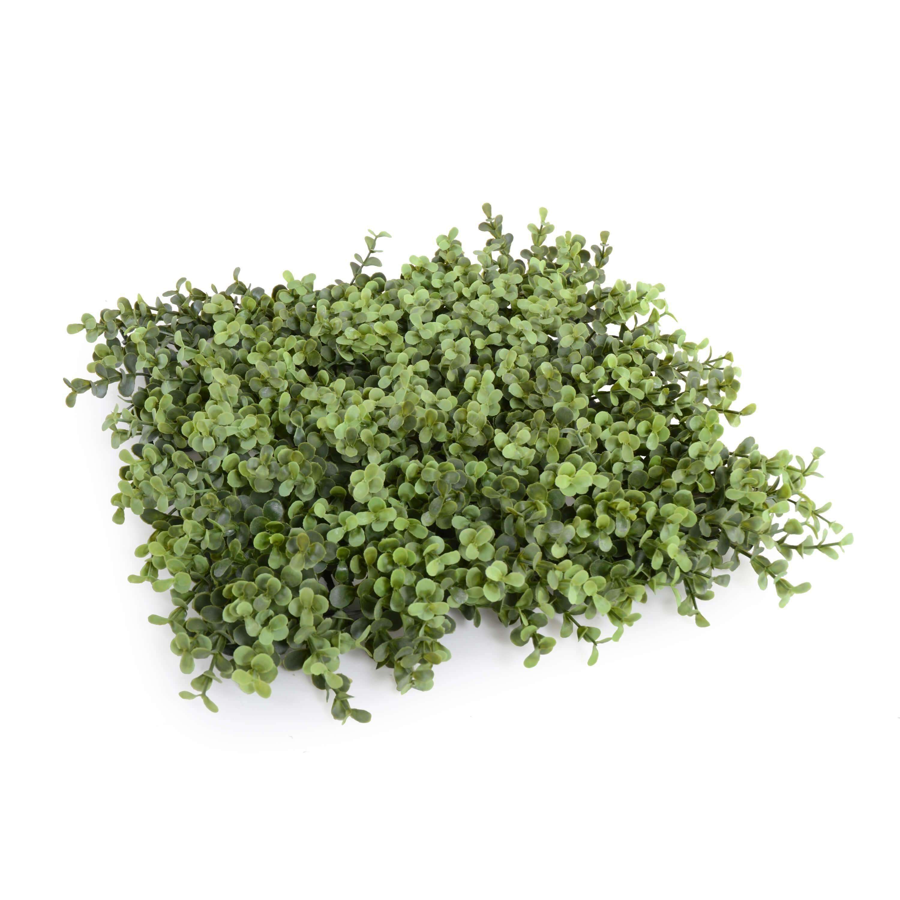 Indoor / Outdoor UV Portable Pittosporum Artificial Hedge - 1.5m High